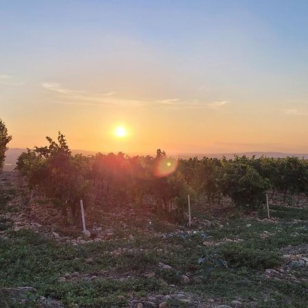Le Willow Châteauneuf-du-Pape Dış mekan fotoğraf