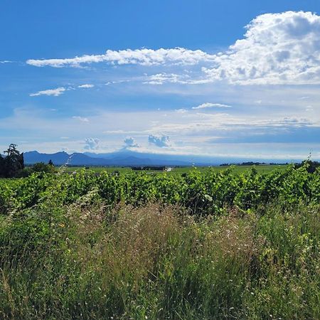 Le Willow Châteauneuf-du-Pape Dış mekan fotoğraf